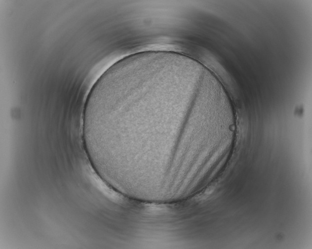 X0000111900852200908171237