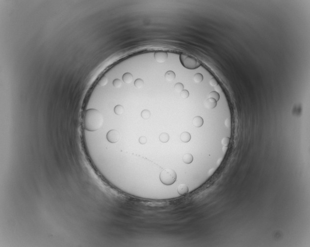 X0000111900853200908171237