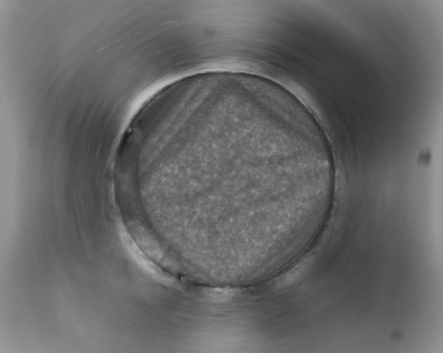 X0000111900854200908171237