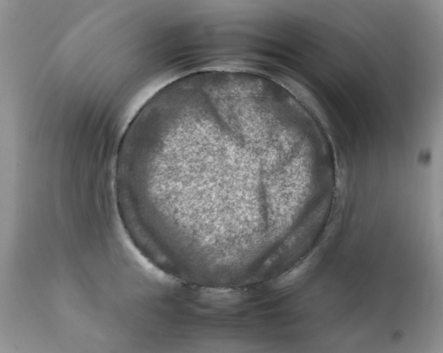 X0000111900855200908171237