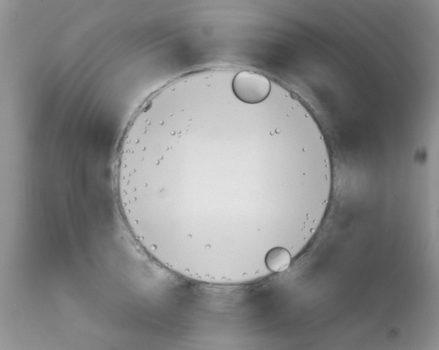 X0000111900856200908171237