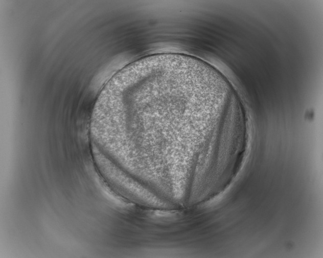 X0000111900857200908171237