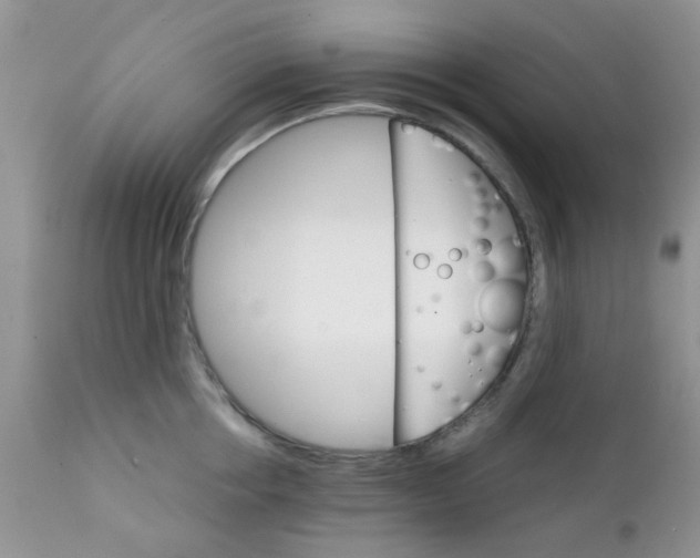 X0000111900858200908171237