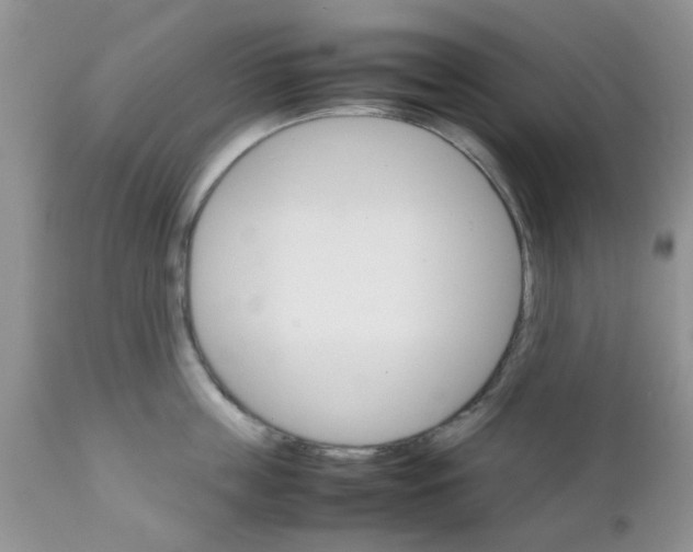 X0000111900859200908171237