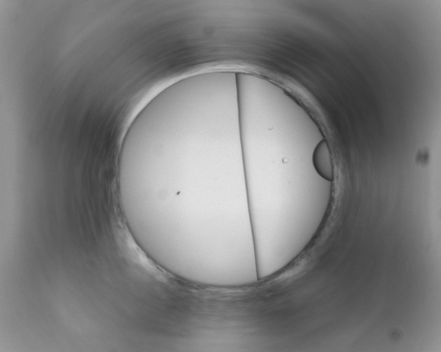 X0000111900860200908171237