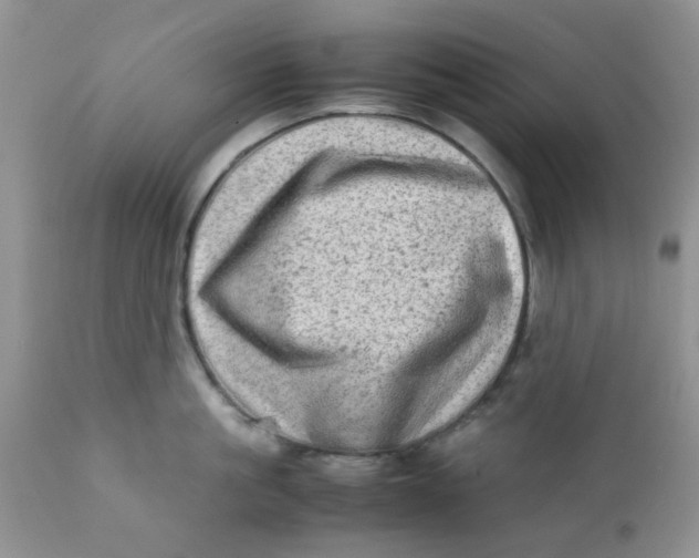 X0000111900861200908171237