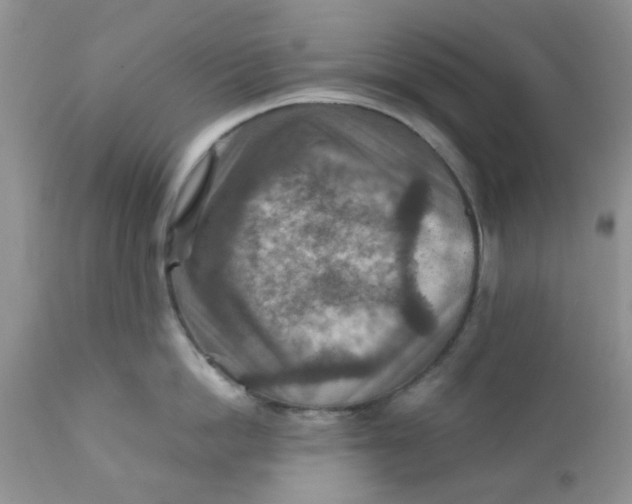 X0000111900862200908171237