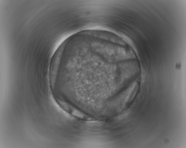 X0000111900863200908171237