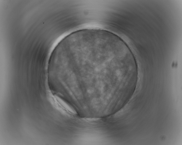 X0000111900864200908171237