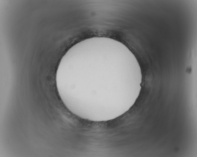 X0000111900865200908171236