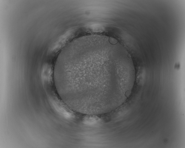 X0000111900866200908171236