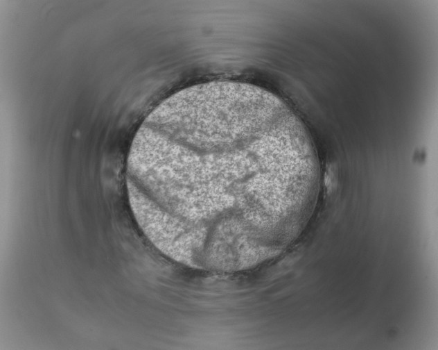 X0000111900867200908171236