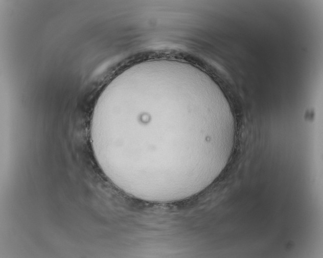 X0000111900869200908171236