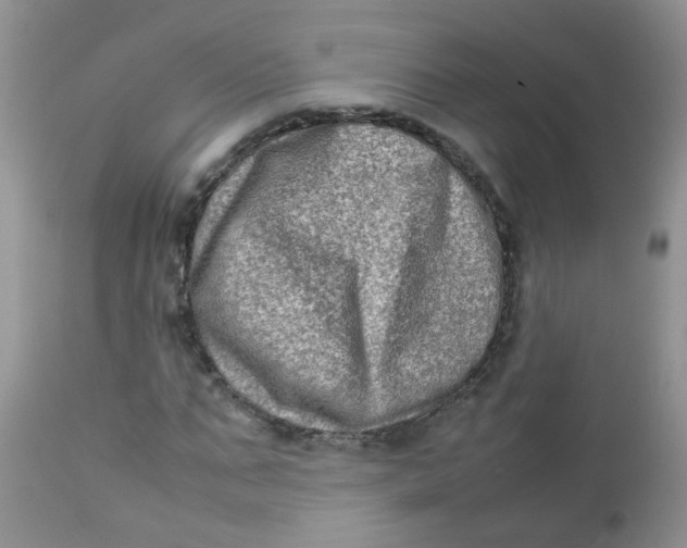 X0000111900871200908171236