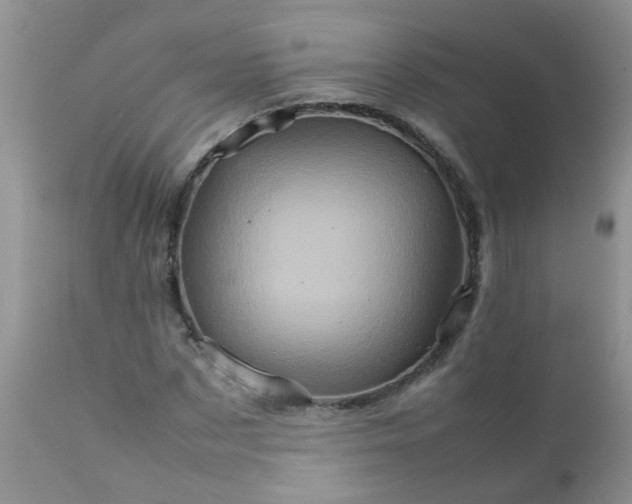 X0000111900873200908171236