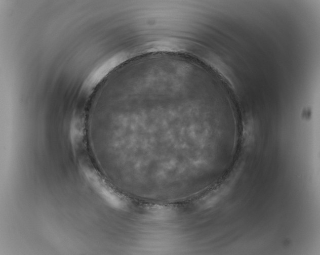 X0000111900874200908171236