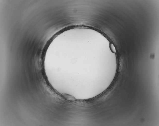 X0000111900876200908171236