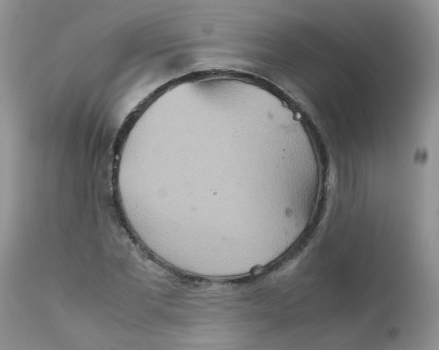 X0000111900877200908171236