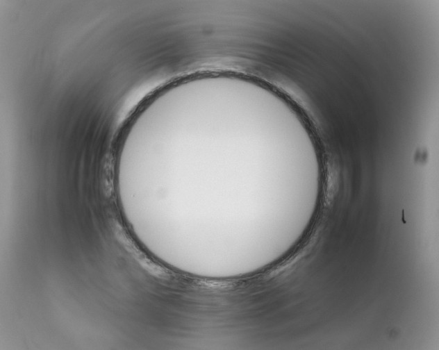 X0000111900878200908171236