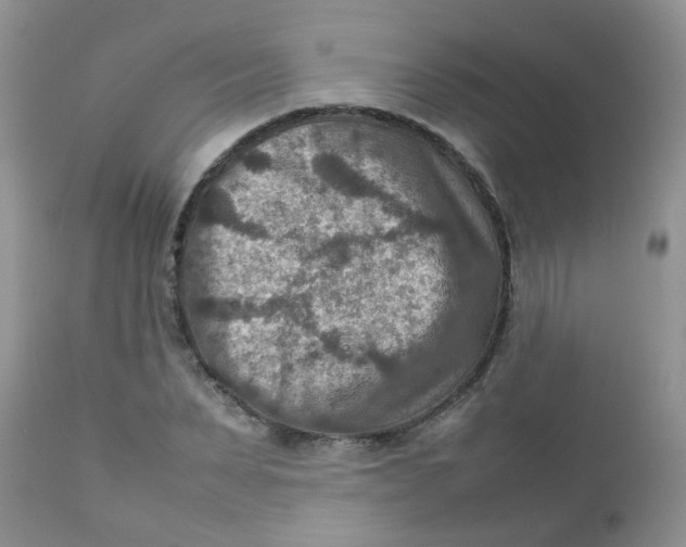 X0000111900879200908171236