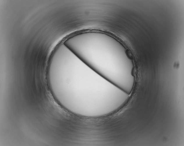 X0000111900880200908171236