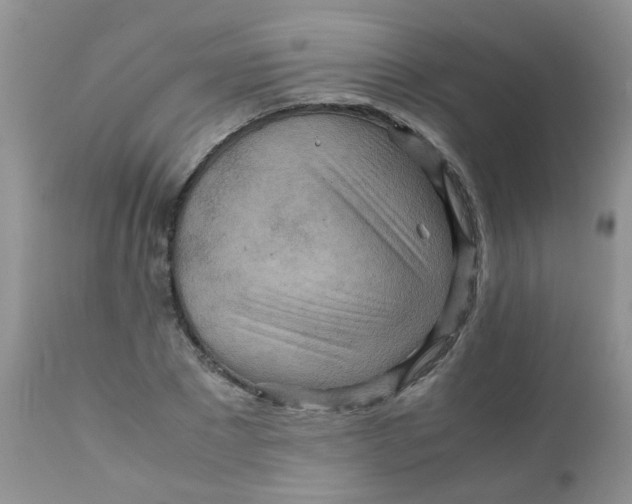 X0000111900881200908171236