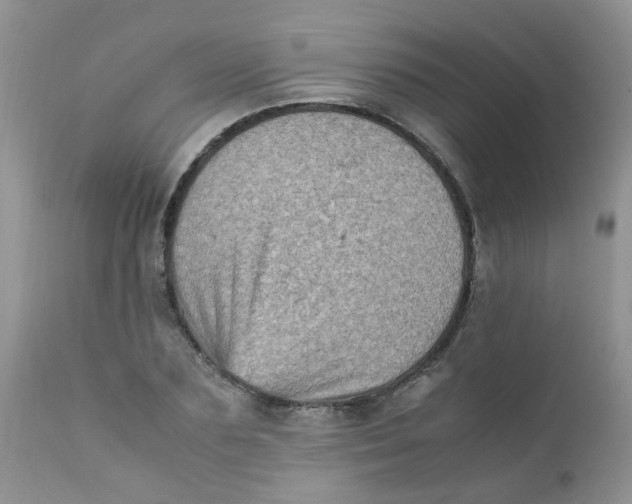 X0000111900883200908171236