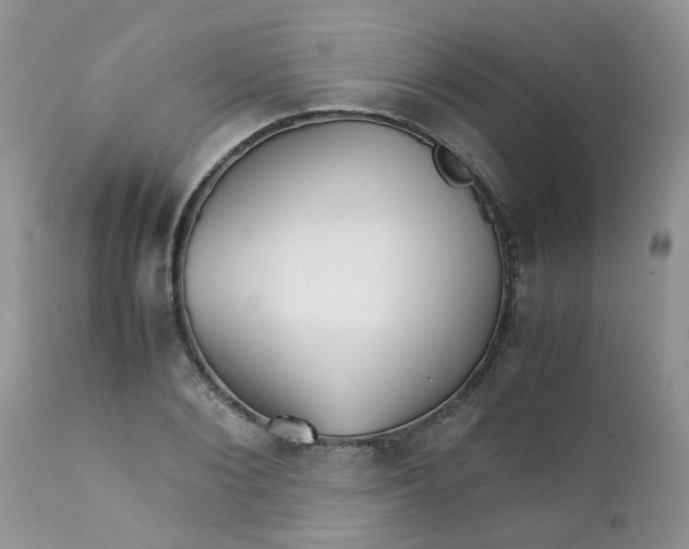 X0000111900884200908171236