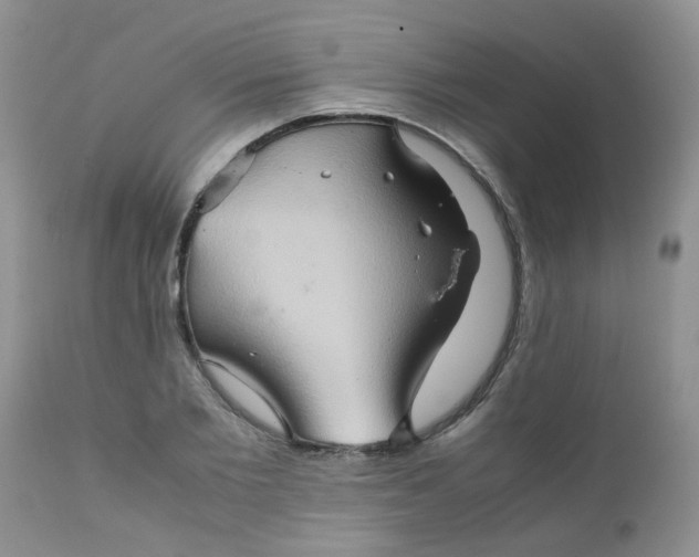 X0000111900885200908171236