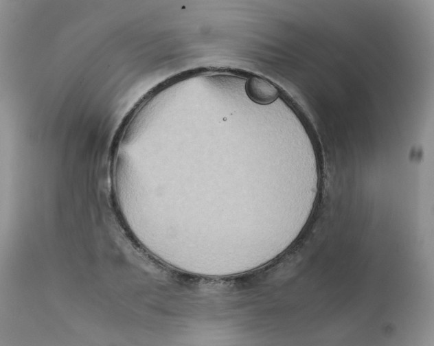 X0000111900887200908171236