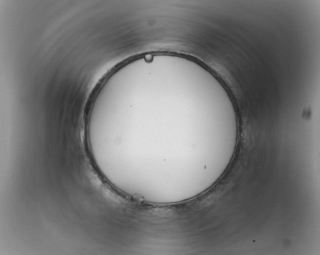 X0000111900888200908171236