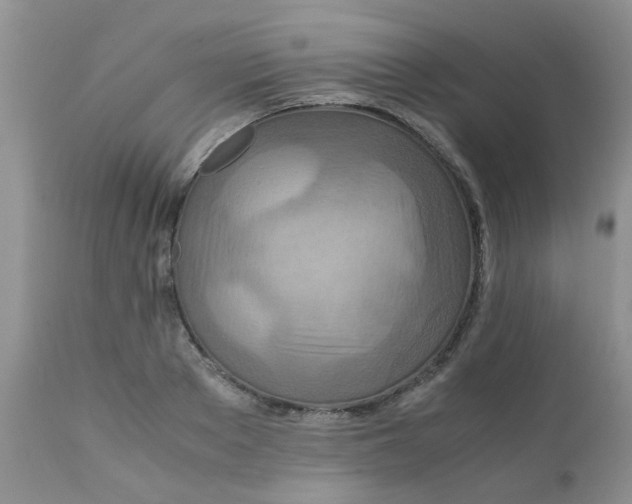 X0000111900889200908171236