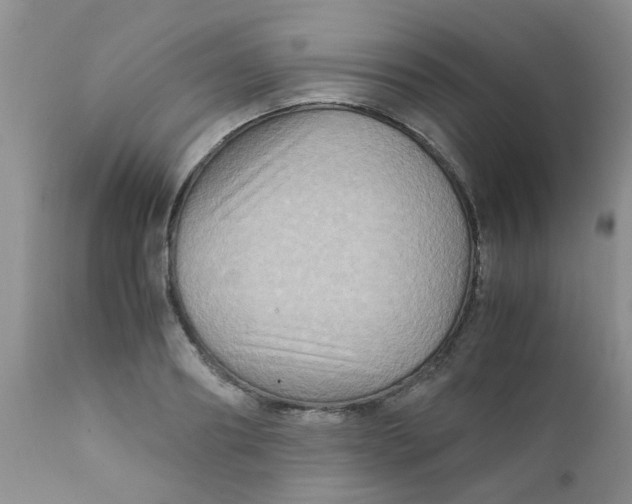 X0000111900890200908171236