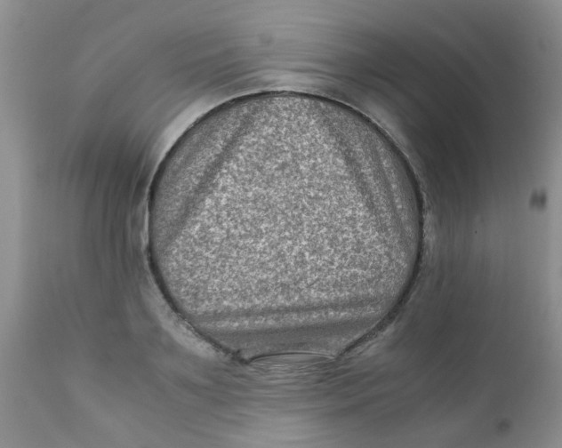 X0000111900891200908171236