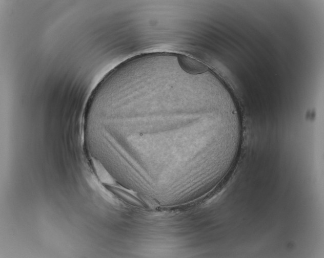 X0000111900892200908171236