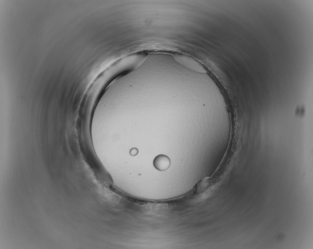 X0000111900893200908171236