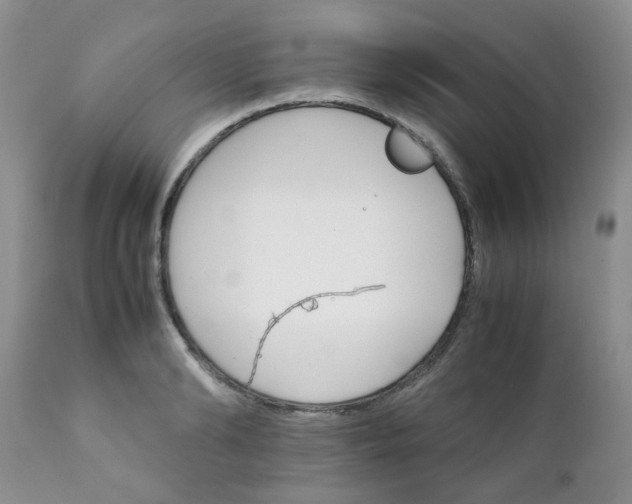 X0000111900894200908171236