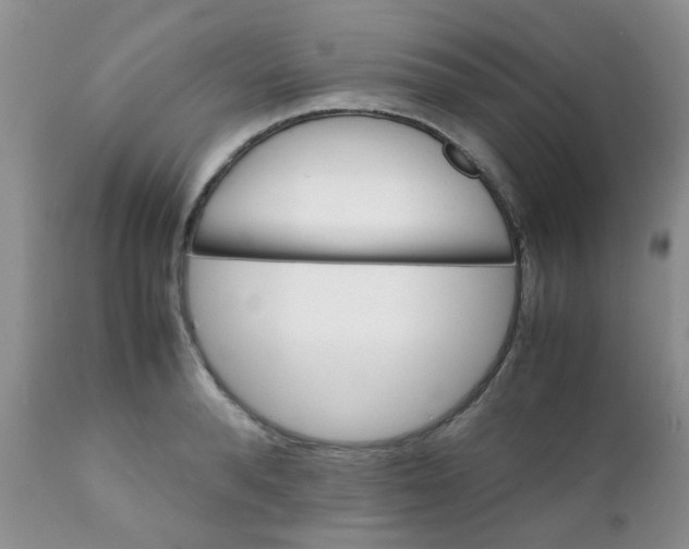 X0000111900896200908171236