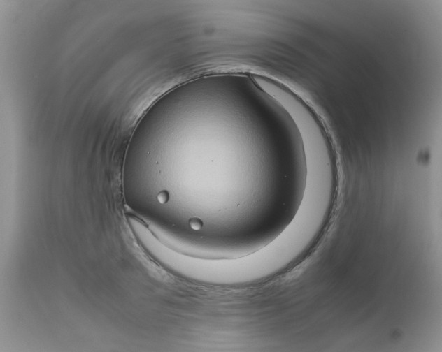 X0000111900897200908171236