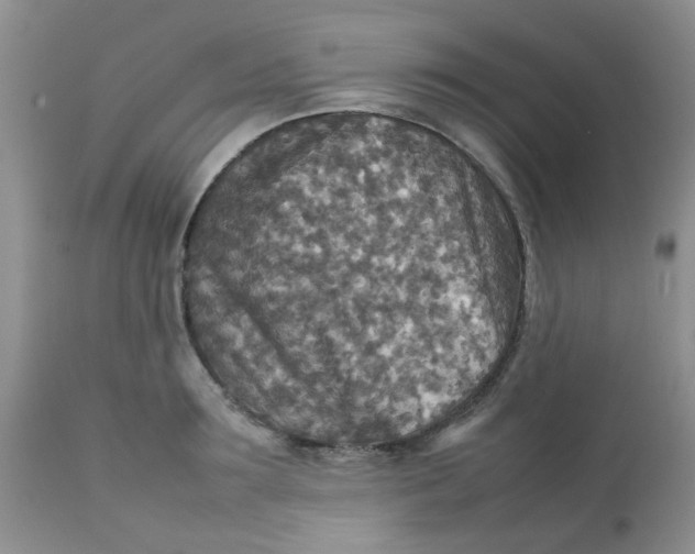 X0000111900899200908171236