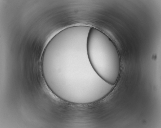 X0000111900900200908171236