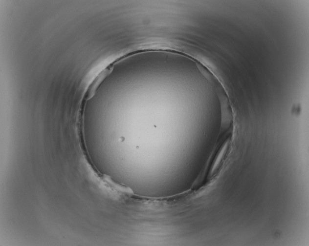 X0000111900901200908171236