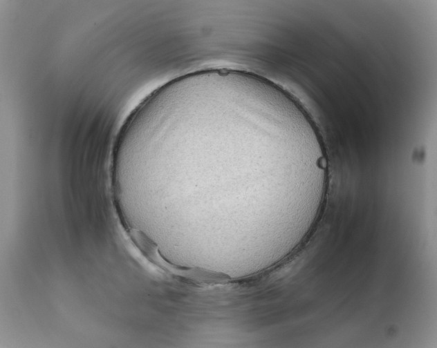 X0000111900902200908171236