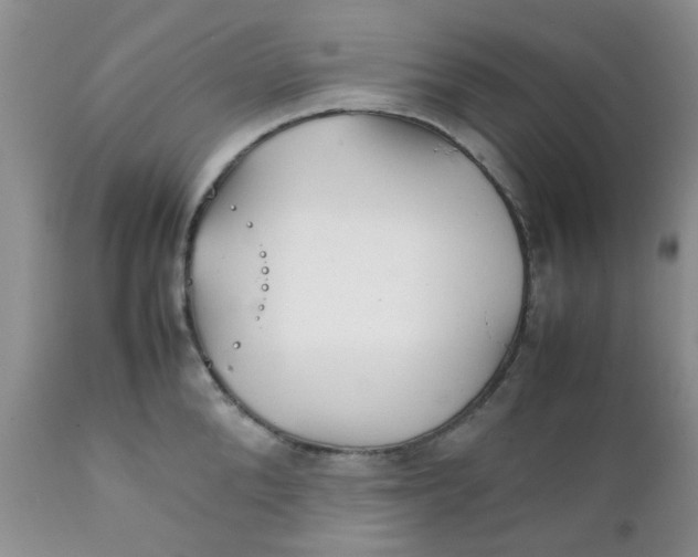 X0000111900904200908171236