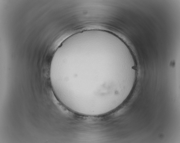 X0000111900905200908171236