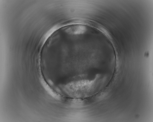 X0000111900907200908171236