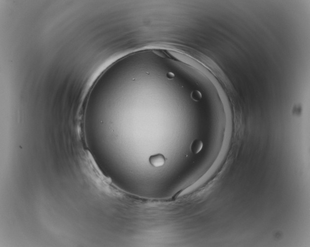 X0000111900908200908171236