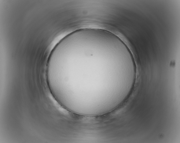 X0000111900909200908171236