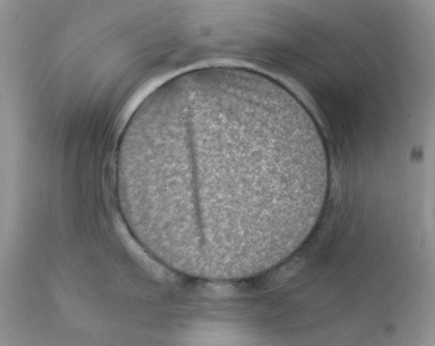 X0000111900911200908171236