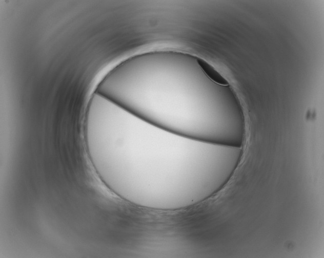 X0000111900912200908171236